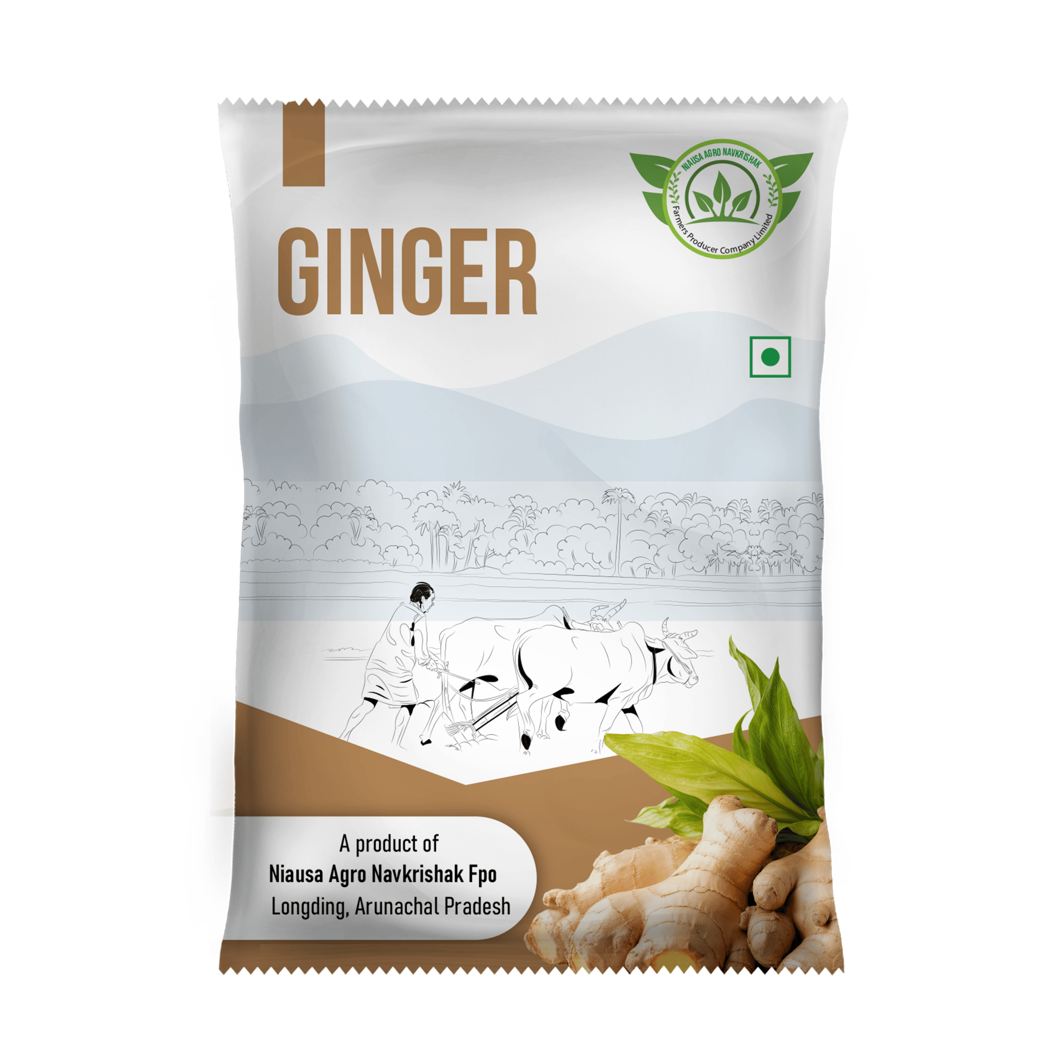 Ginger