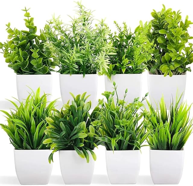 Artificial Potted Plants Nagpur