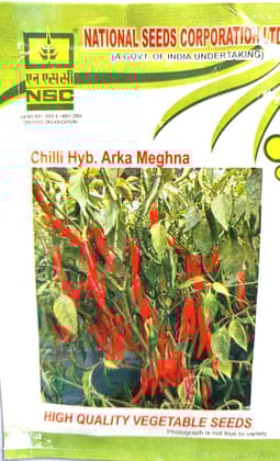 NSC CHILLI