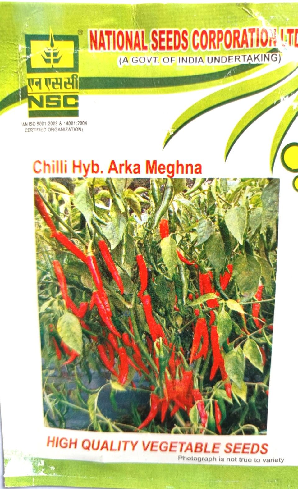 NSC CHILLI