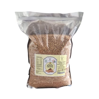 Wheat Grains