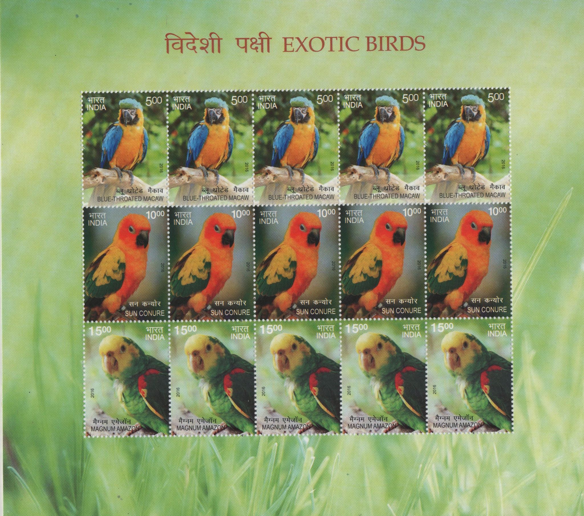 Shobhaphila's Indian Exotic Birds Sheetlet Stamp Collection - Blue-Throated Macaw, Sun Conure & More ( 5th Dec 2016)