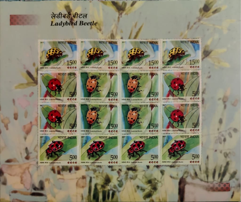 Shobhaphila's Indian Ladybird Beetle Sheetlet Stamp ( 23rd Feb 2017)