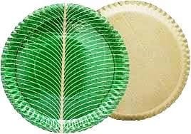 EcoFriendly Disposable Paper Plates