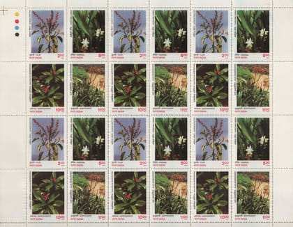 Shobhaphila's Indian Medicinal Plant Se-Tenant Stamps- Tulsi, Haridra, Sarpagandha & Ghritkumari (15th Oct 1997)