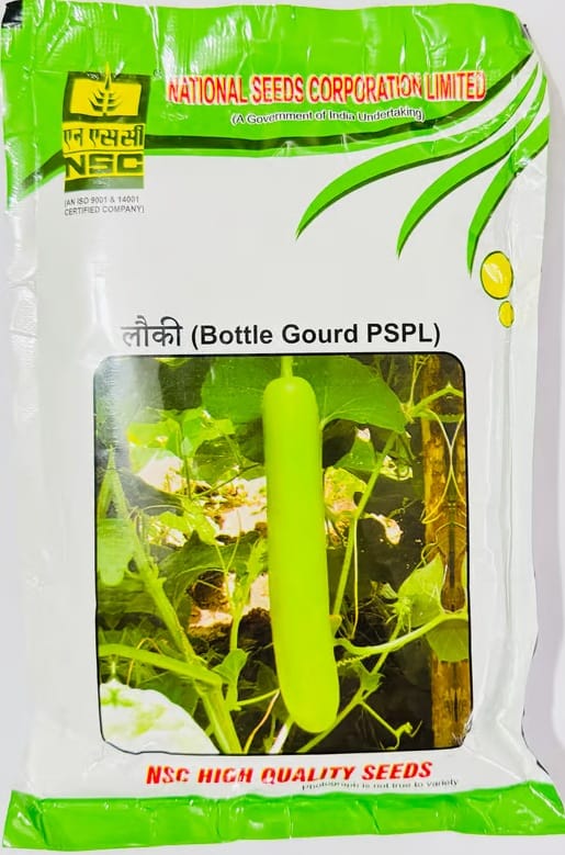 NSC Bottle Gourd, Variety PSPL Seeds - High Quality Vegetable Seeds
