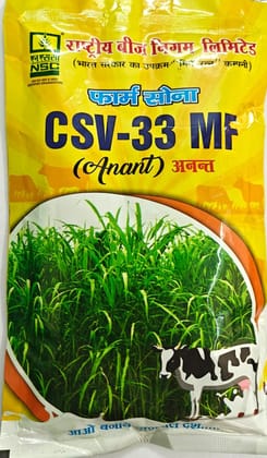 NSC Sorghum CSV-33 MF (Anant)