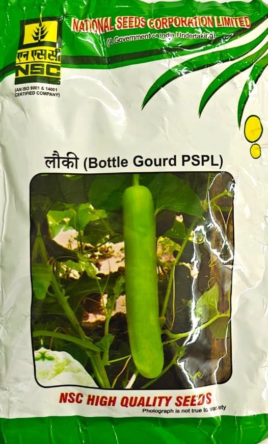 NSC Bottle Gourd Variety PSPL 100 Gram
