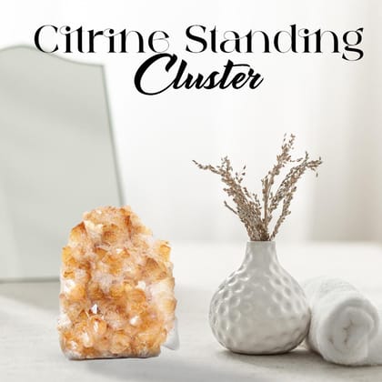 Citrine Standing Cluster-Approx 482 gms