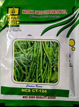 cowpea beans- NSC CT-124
