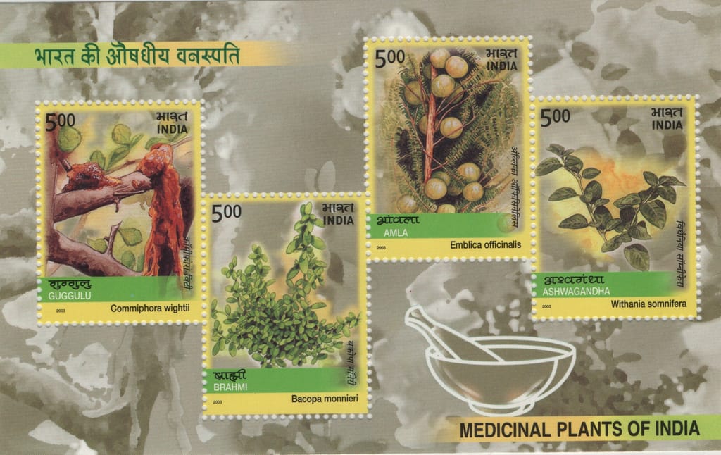 Shobhaphila's 2003 Medicinal Plants - Indian Miniature Sheet Stamp ( 7th Apr 2003)