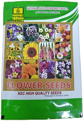 NSC Cosmos Sensation Mixed (100 flower seeds)