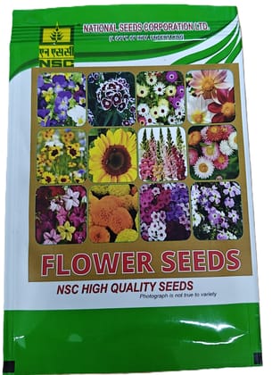 NSC Gaillardia Aristata Tokajer (100 flower seeds)