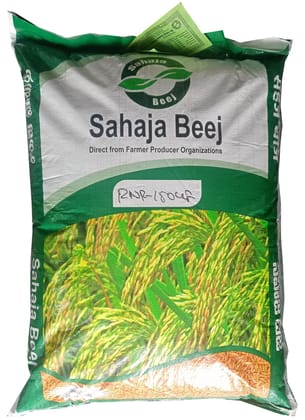 Paddy Seed RNR 15048