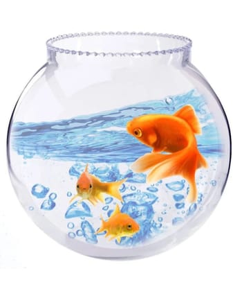   Aquarium Freshwater Fish Glass