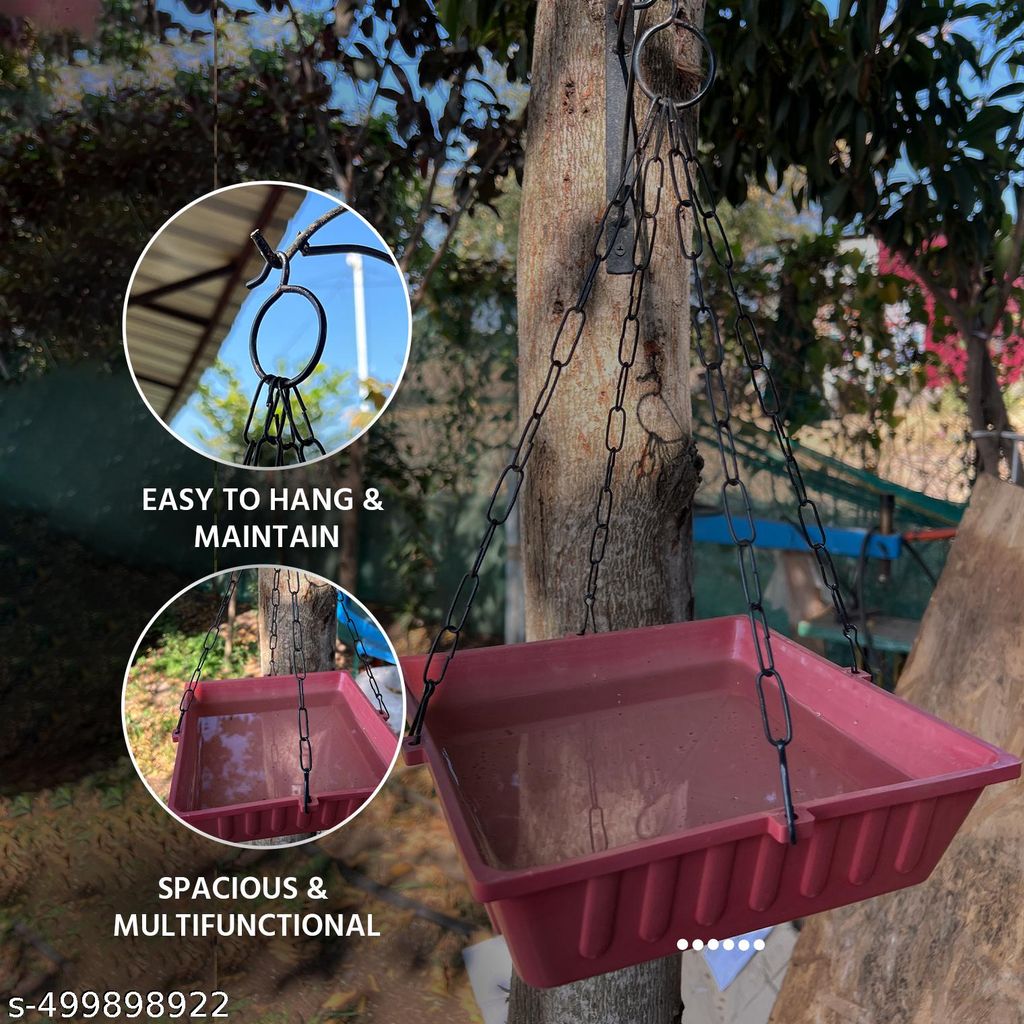 Ami Jivdaya Bird Bath trey.