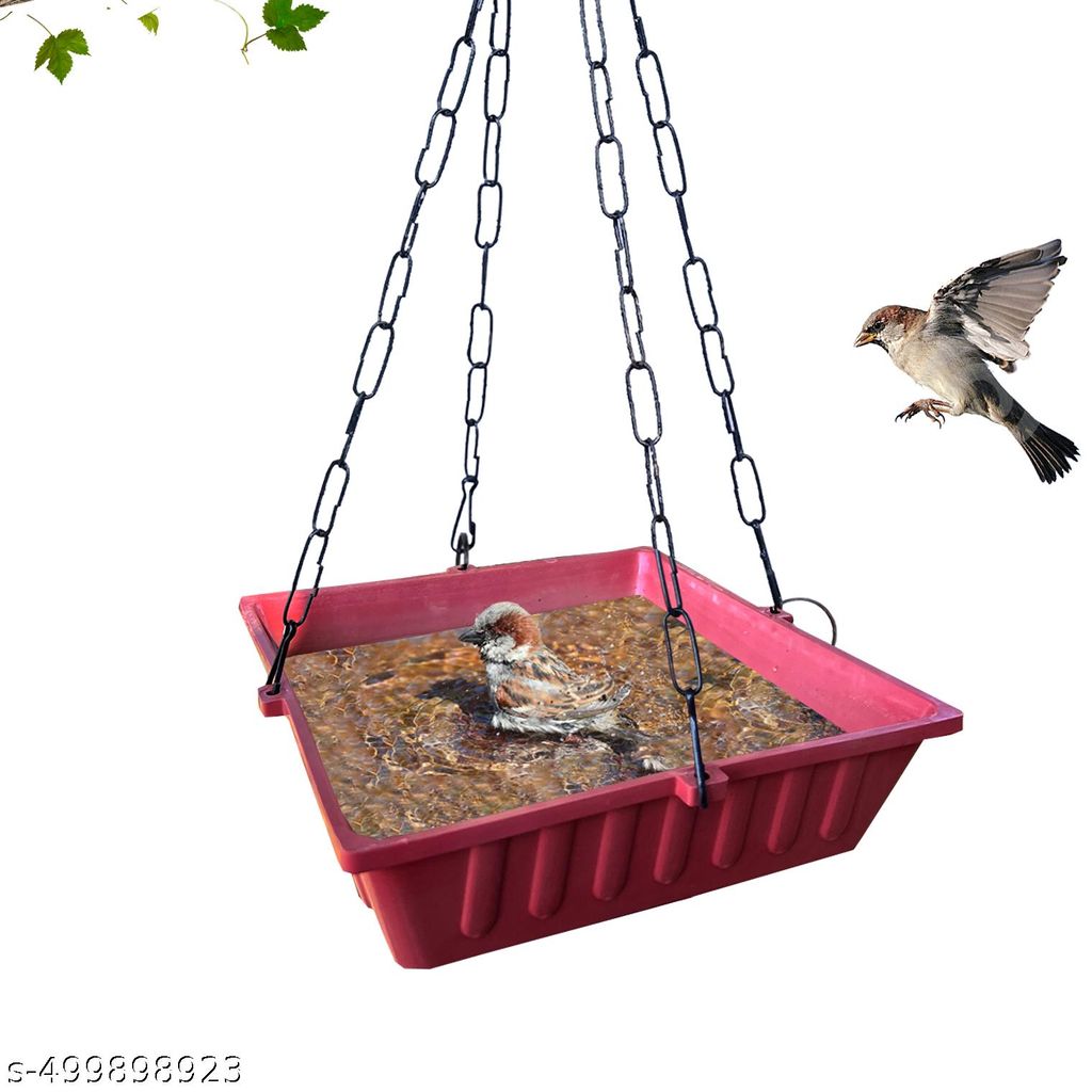 Ami Jivdaya Bird Bath trey.