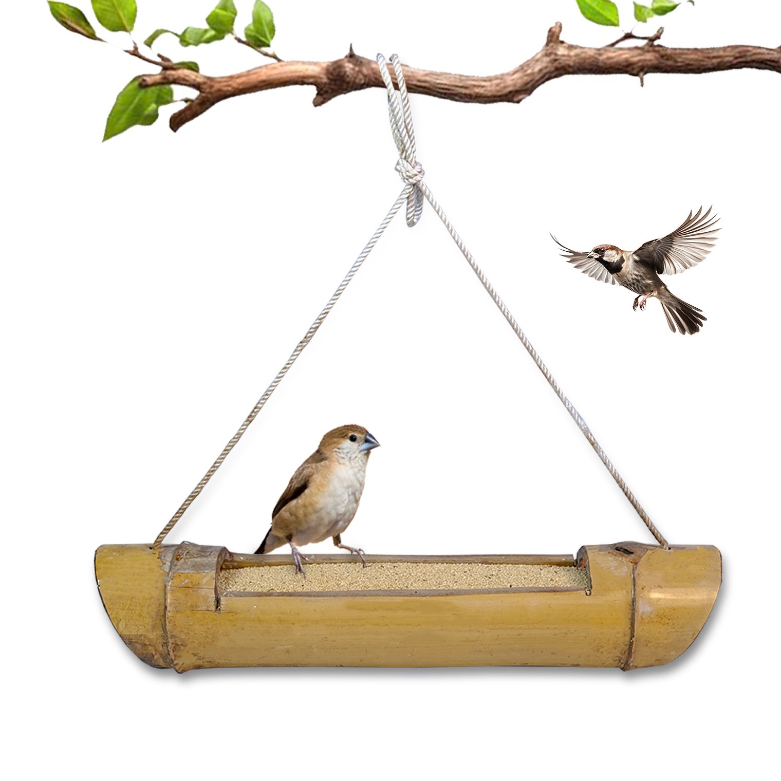Ami Jivdaya Bamboo Bird Feeder.