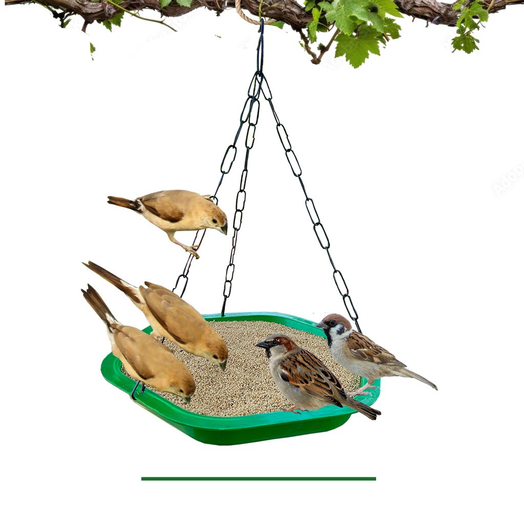 Ami JIvdaya Big Size Bird Feeder & Water Drinker Pack Of 1