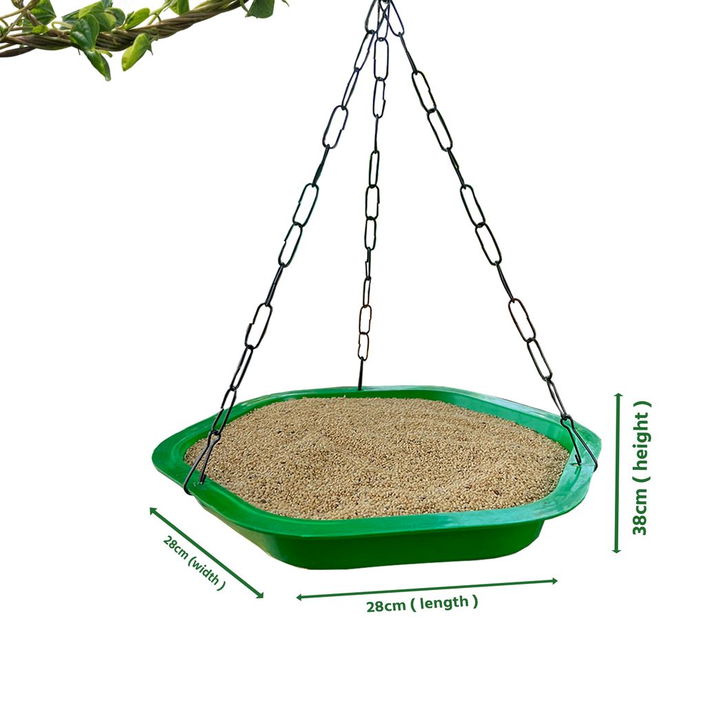Ami JIvdaya Big Size Bird Feeder & Water Drinker Pack Of 1