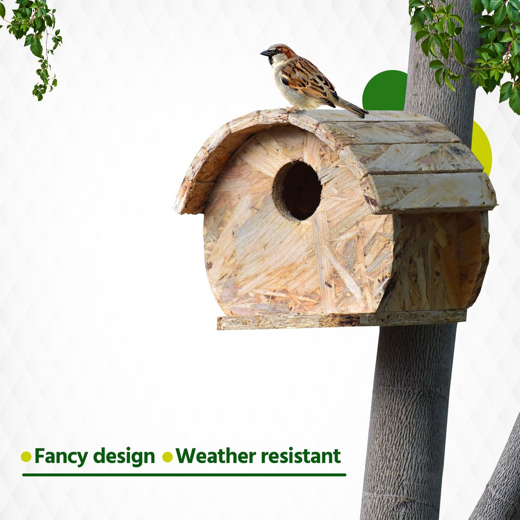 Ami JIvdaya Fancy Bird Home.