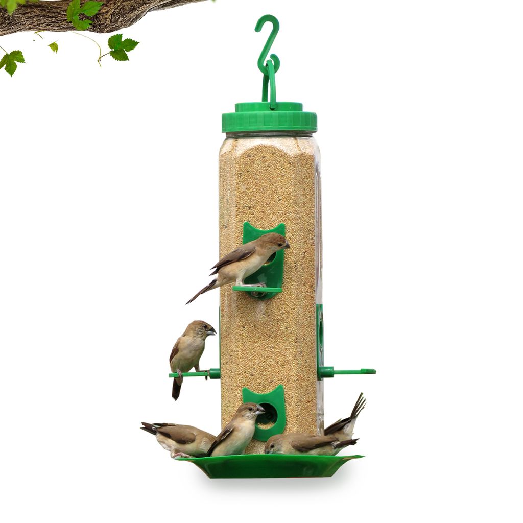 Ami JIvdaya Large Hexa Feeder.