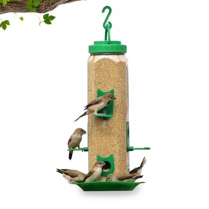 Ami JIvdaya Large Hexa Feeder.