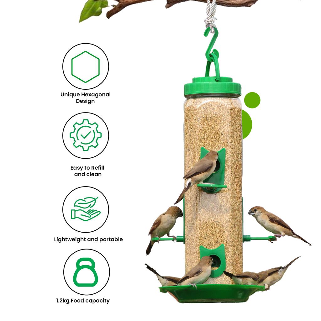 Ami JIvdaya Large Hexa Feeder.