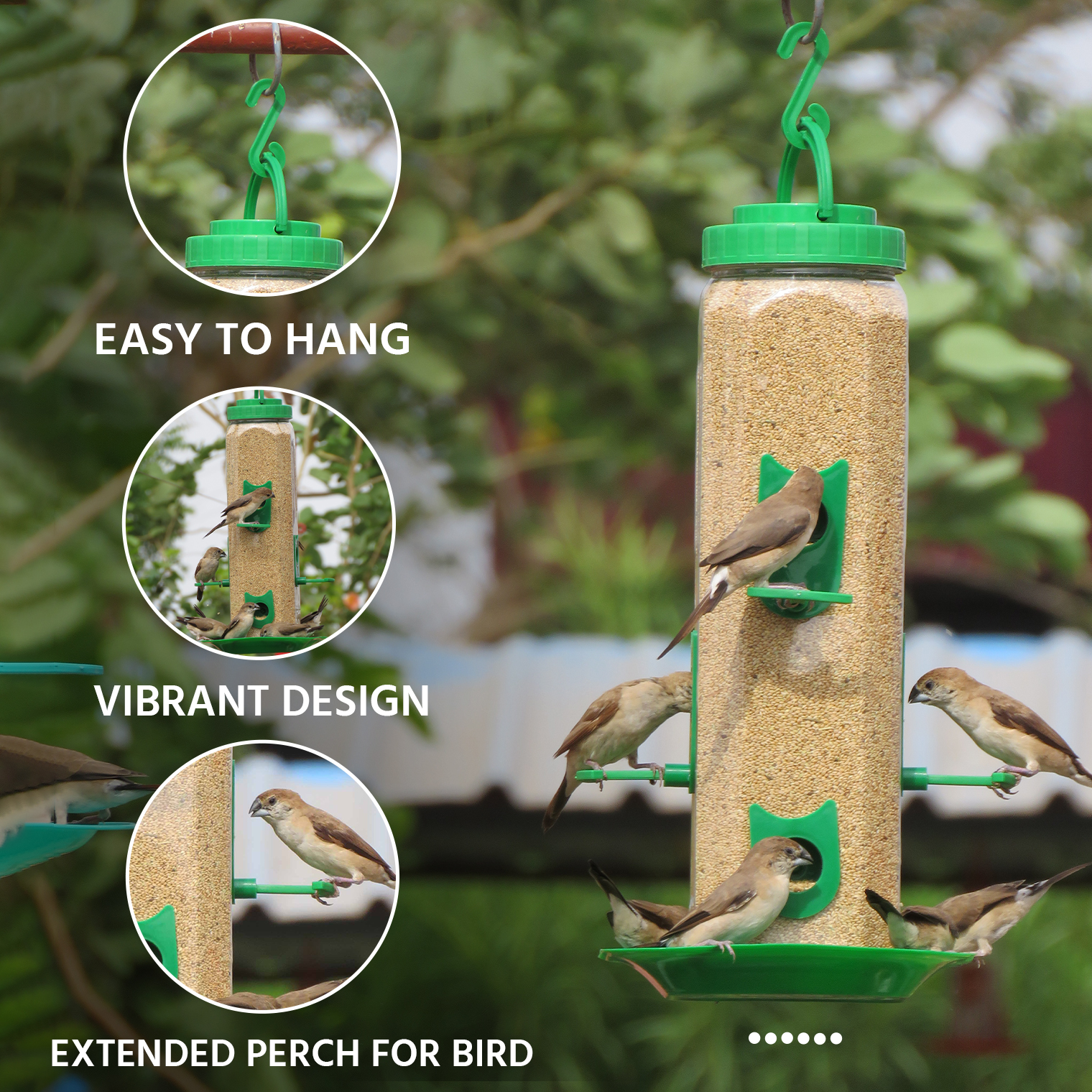 Ami JIvdaya Large Hexa Feeder.