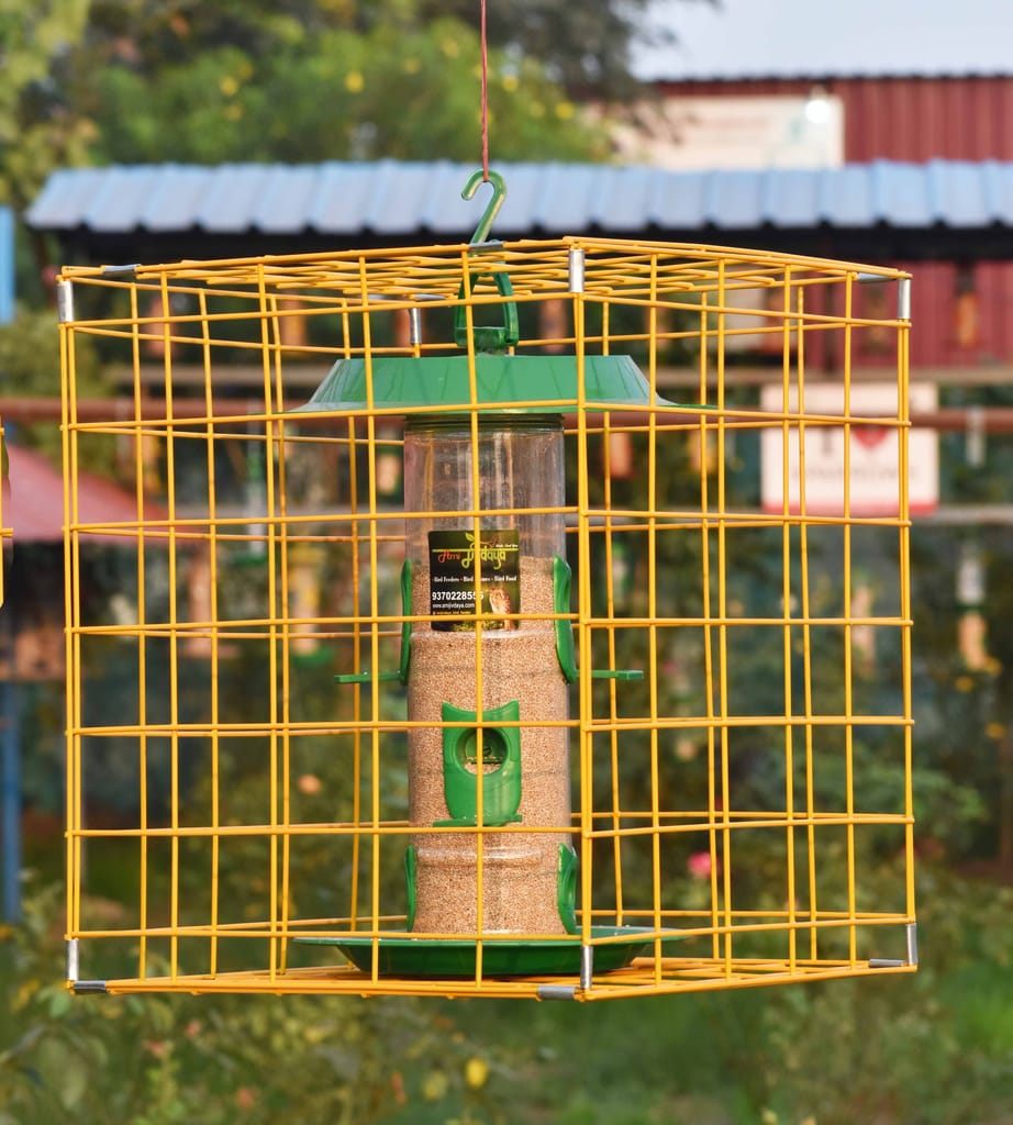 Ami Jivdaya Pigeon or Parrot Proof Cage For Bird Feeder (only Cage)