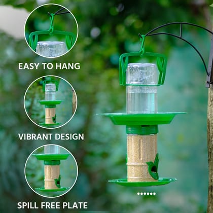 Ami Jivdaya Small Double Decker 2 In 1  Feeder.