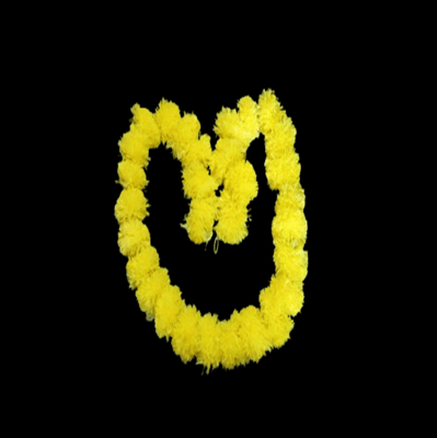 BUCHI GARLAND BUCHI GARLAND