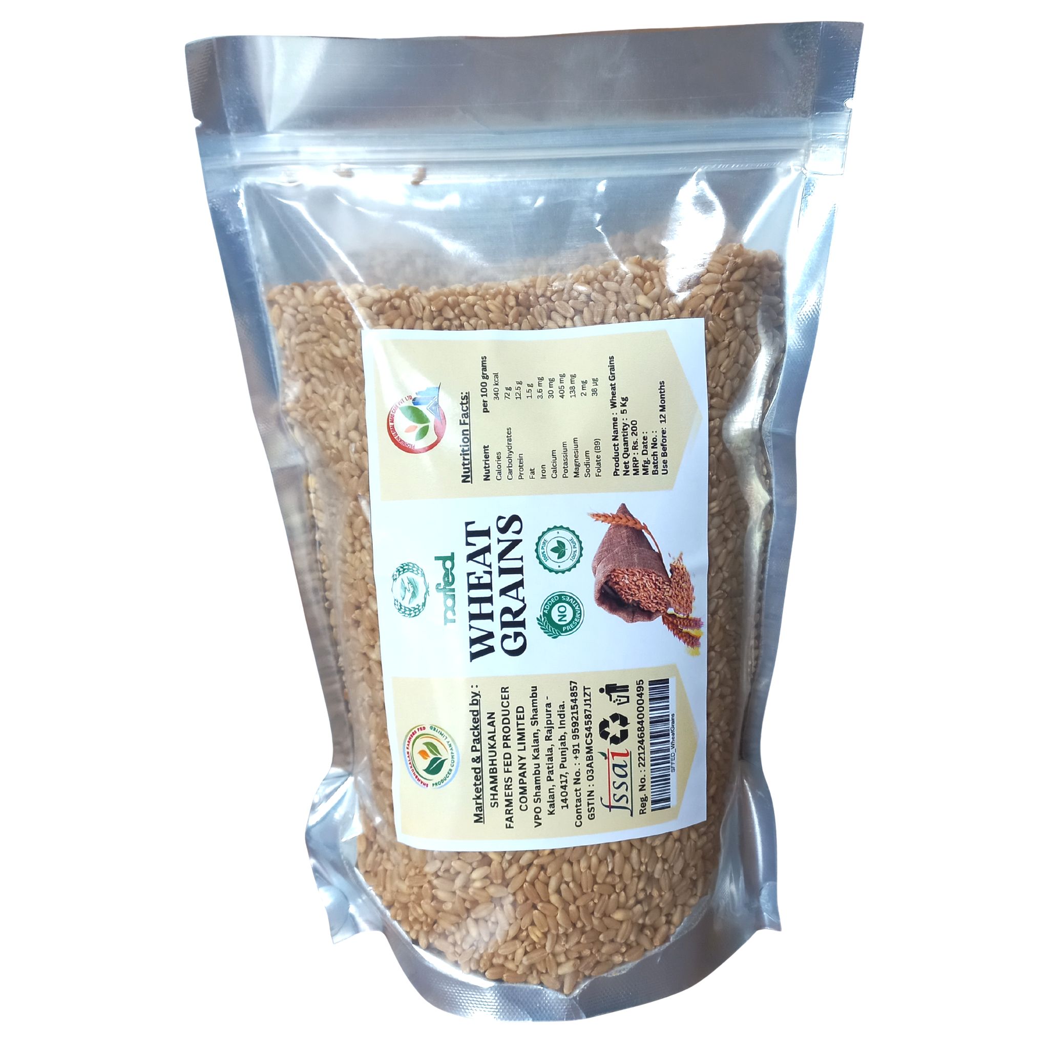 Wheat Grains
