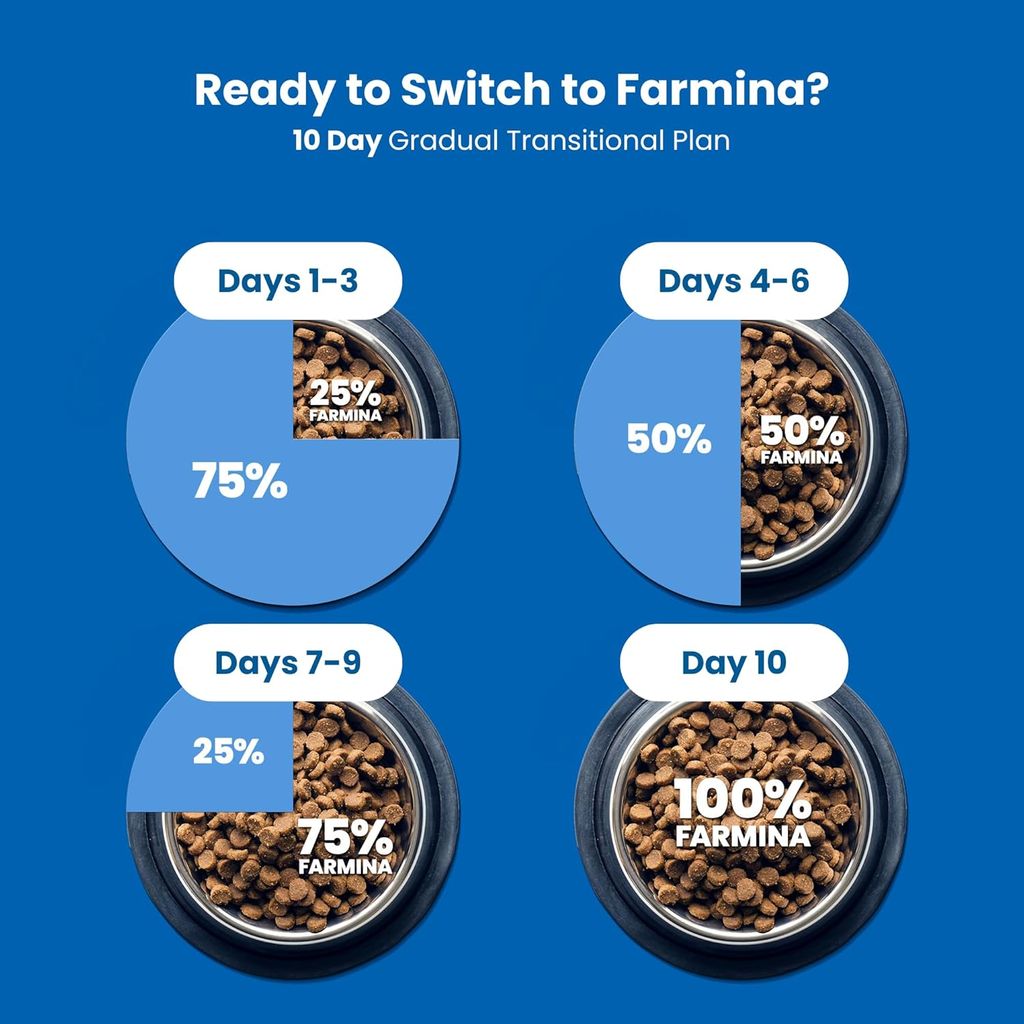 Farmina N&D Pumpkin Grain Free Lamb & Blueberry Adult Mini Breed Dog Food