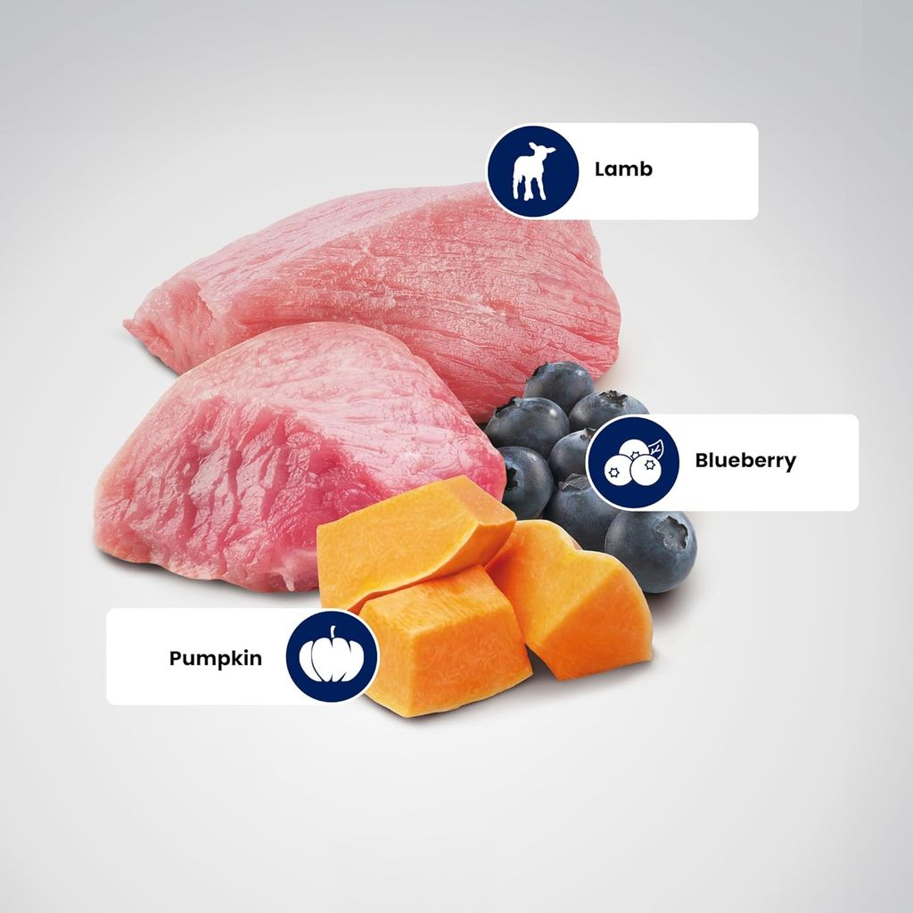 Farmina N&D Pumpkin Grain Free Lamb & Blueberry Adult Mini Breed Dog Food