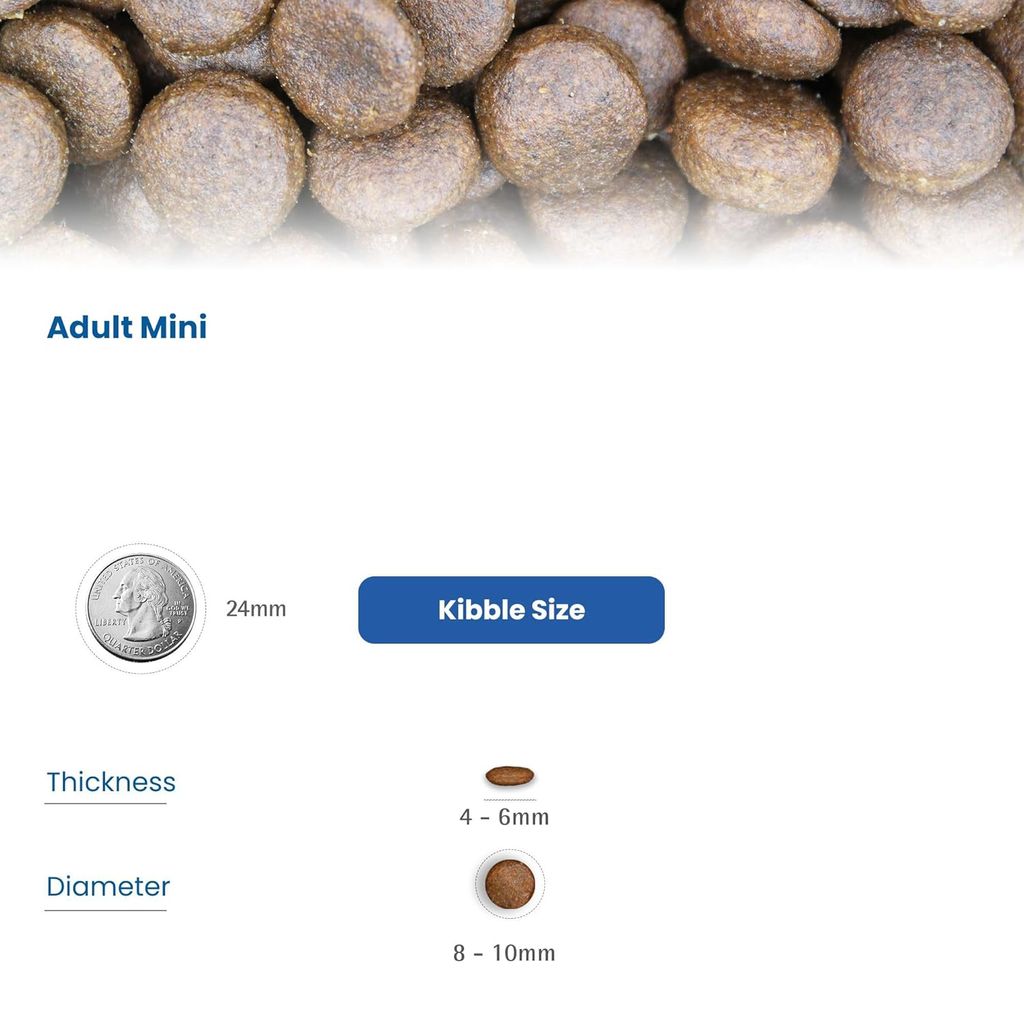 Farmina N&D Pumpkin Grain Free Lamb & Blueberry Adult Mini Breed Dog Food