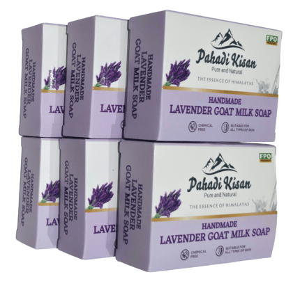 Lavender Goat Milk Soap (Pack of 6)