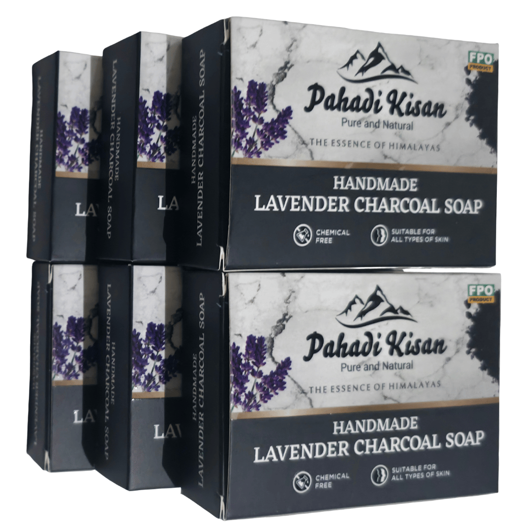 Lavender Charcoal Soap (Pack of 6)