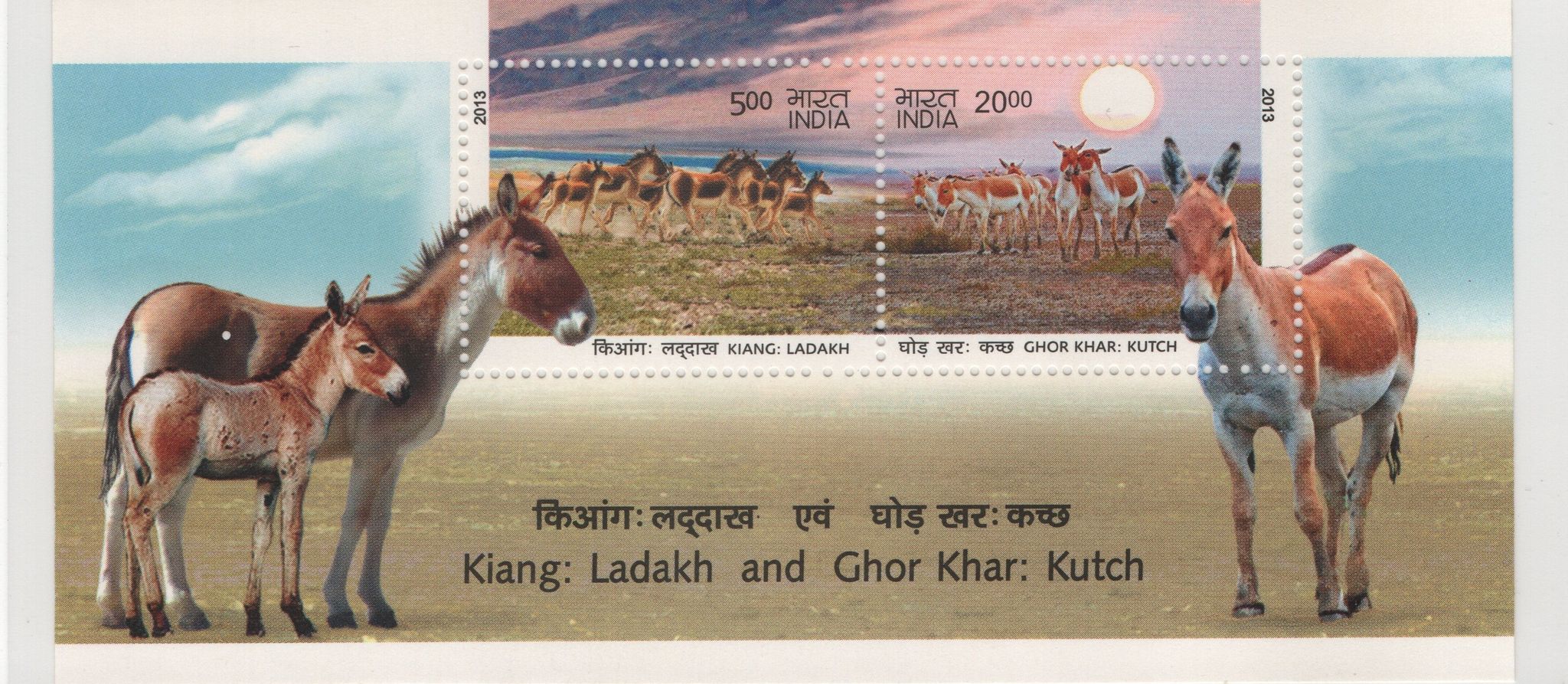 Shobhaphila's 2013 Kiang (Ladakh) & Ghor Khar (Kutch) Wildlife Indian Miniature Sheet Stamp ( 10th May 2013)