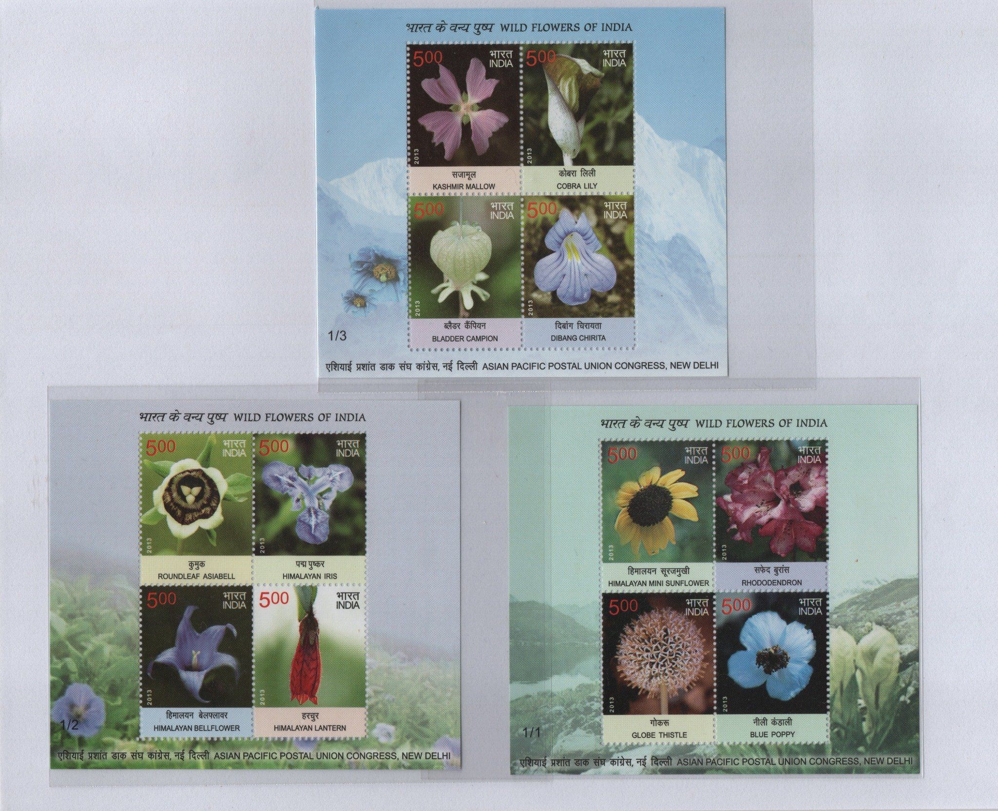 Shobhaphila's 2013 Wild Flowers of India Indian Miniature Sheet Stamp  ( 3rd Sept 2013)