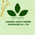 Gangeo Agro Farmer Producer Limited