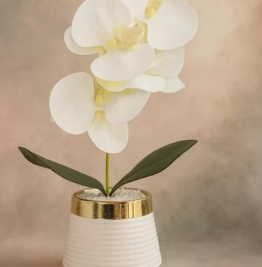 Elegant White Artificial Orchid in Gold-Trimmed Vase