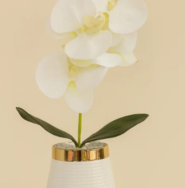 Elegant White Artificial Orchid in Gold-Trimmed Vase