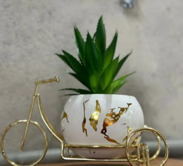 Decorative Ceramic Planter with Gold Bicycle Frame
