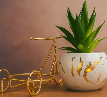 Decorative Ceramic Planter with Gold Bicycle Frame