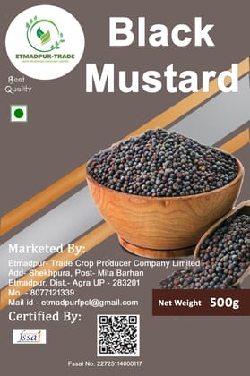 Black Mustard