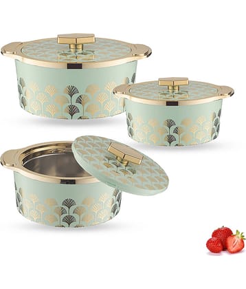 Trueware Florra Fine Plastic & Light Green Steel Thermoware Casserole ( Set of 3 , 3250 mL )