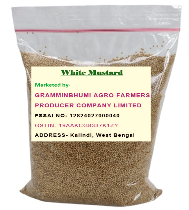 White Mustard- 500gm