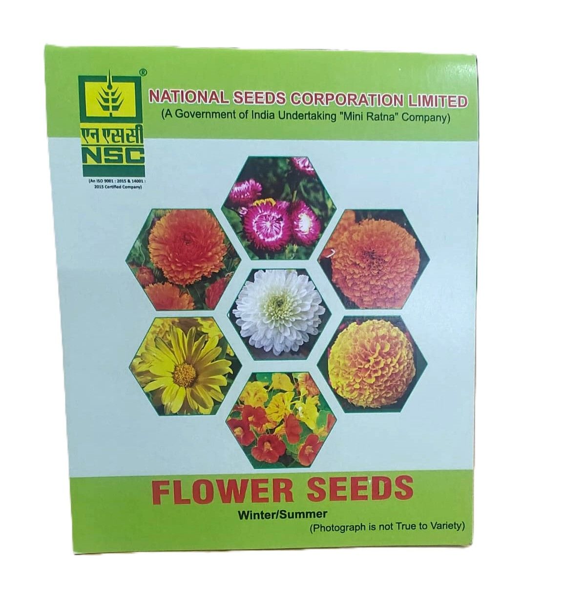 NSC Nemophilia maculata flower seed