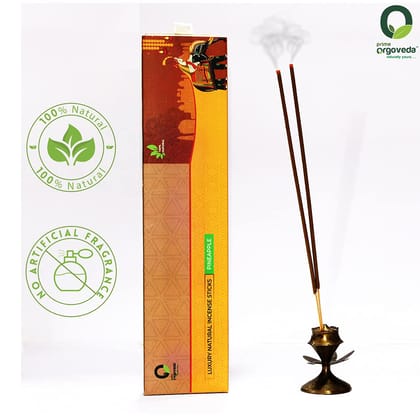 Prime Orgoveda Pineapple Incense Sticks | 100% Natural Organic Handmade - (Pack of 50 Sticks)